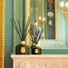 Abd el Kader The Great Diffuser - Trudon