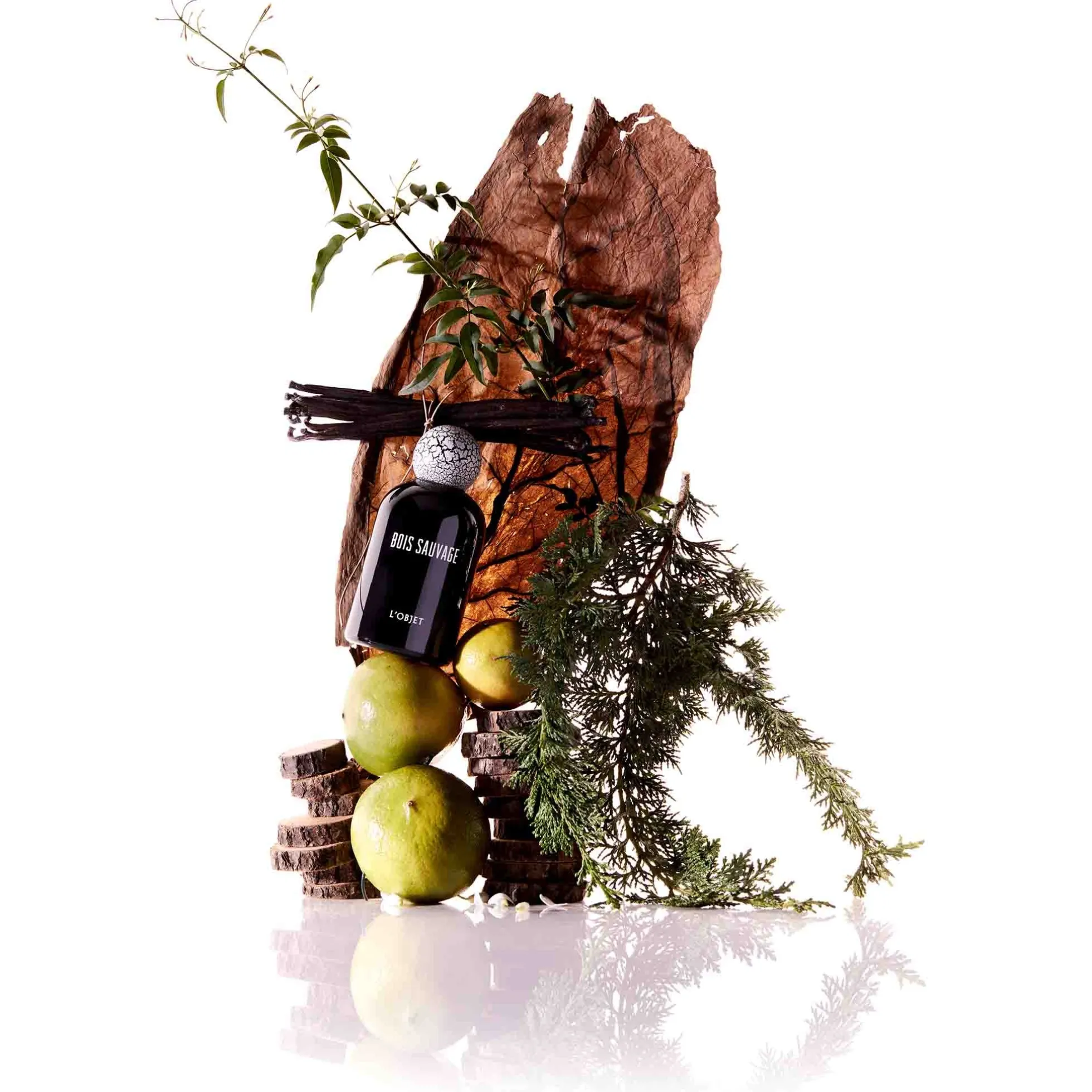Bois Sauvage EDP - L'Objet