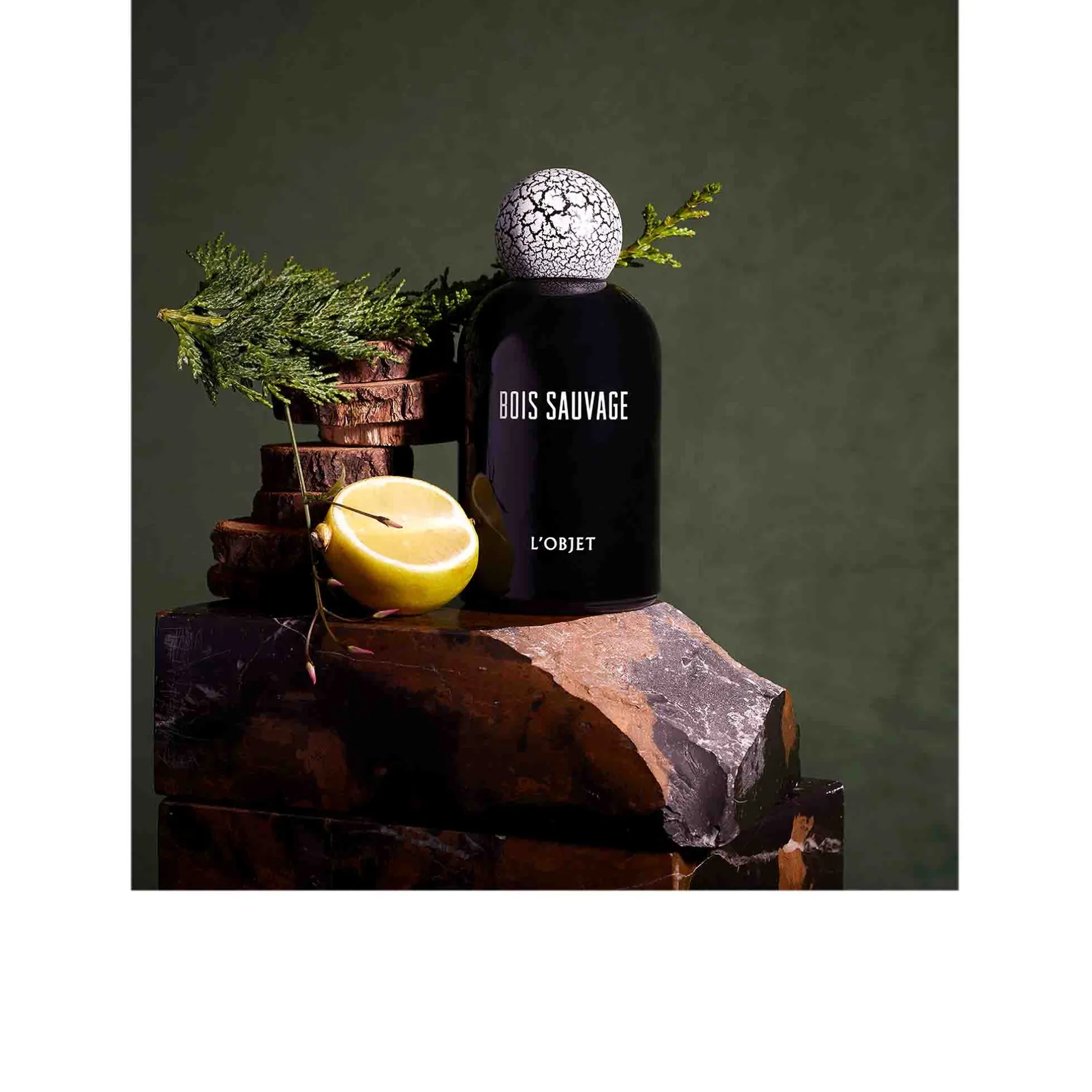 Bois Sauvage EDP - L'Objet