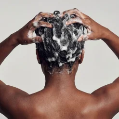 Citrus Nobilis | Shampoo Nutriente - Zenology