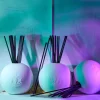 Côte Maquis Diffuser Oil Refill - L'Objet