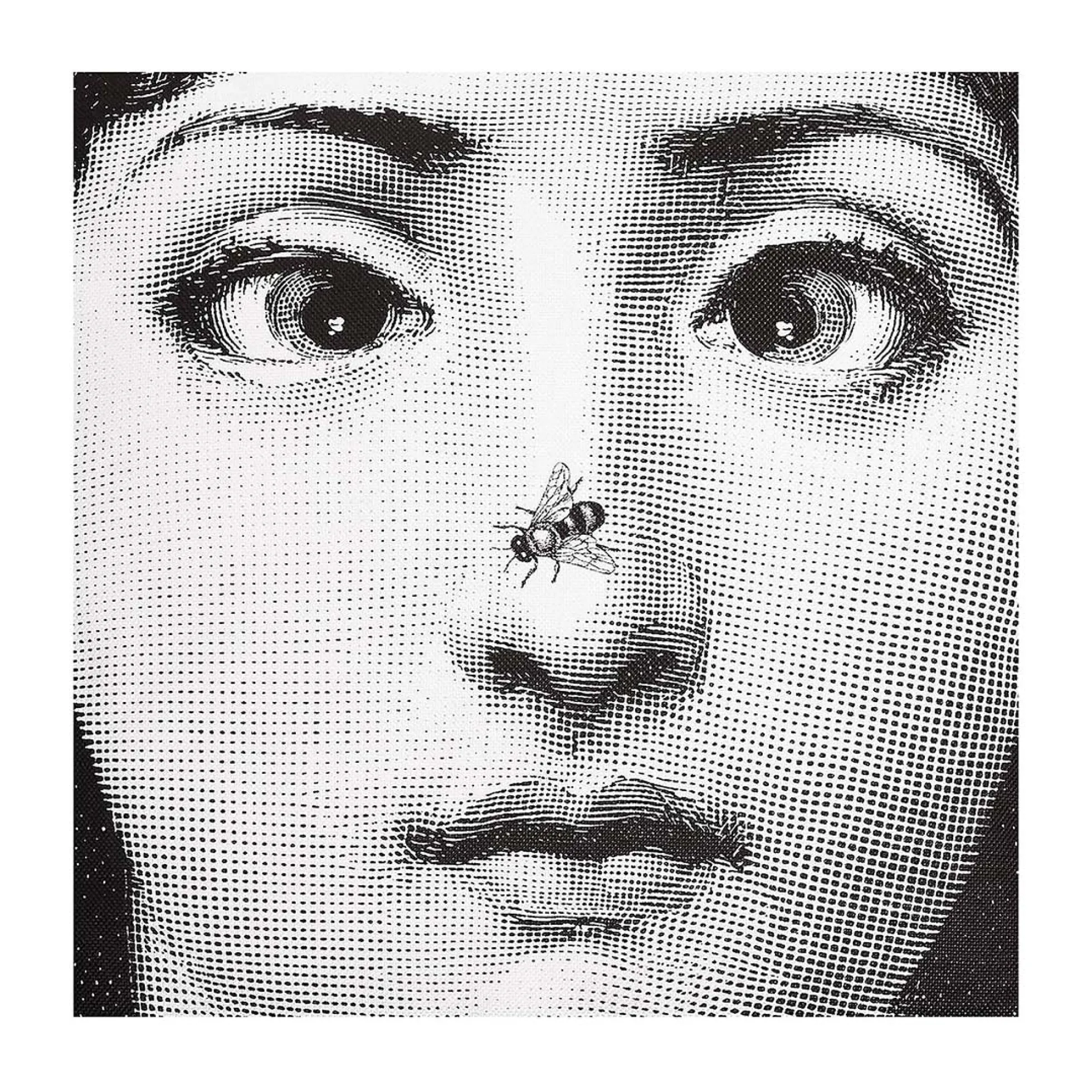 Cuscino Ape - Fornasetti