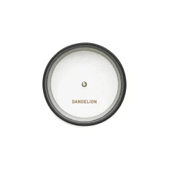 Dandelion Candle - Perfumer H
