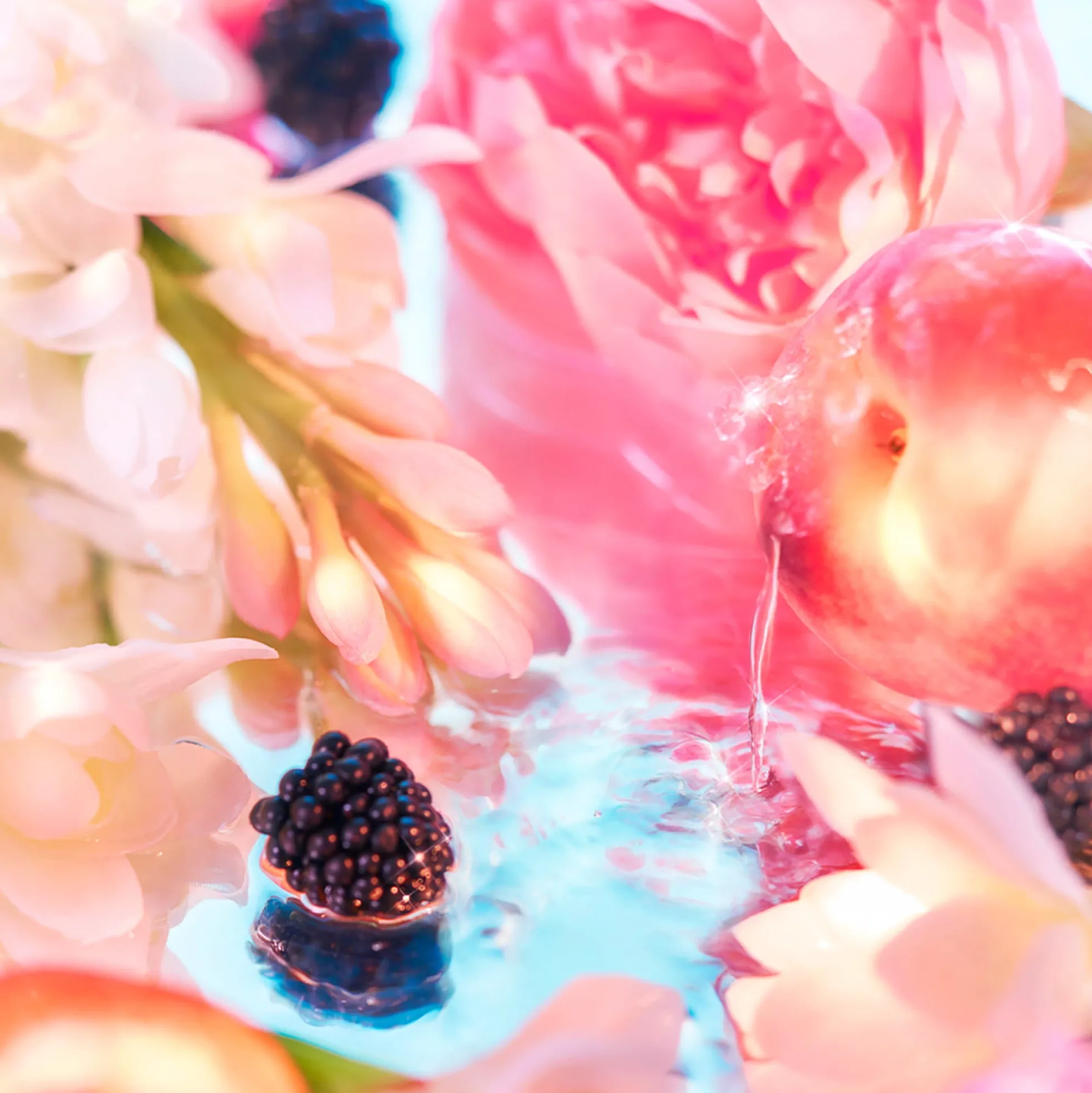 Elysium Pour Femme Parfum - Roja Parfums