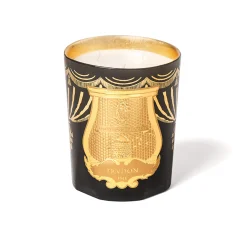 Fir Bougie Natale 2024 - Trudon