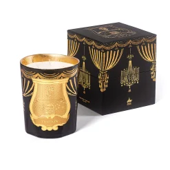 Fir Bougie Natale 2024 - Trudon