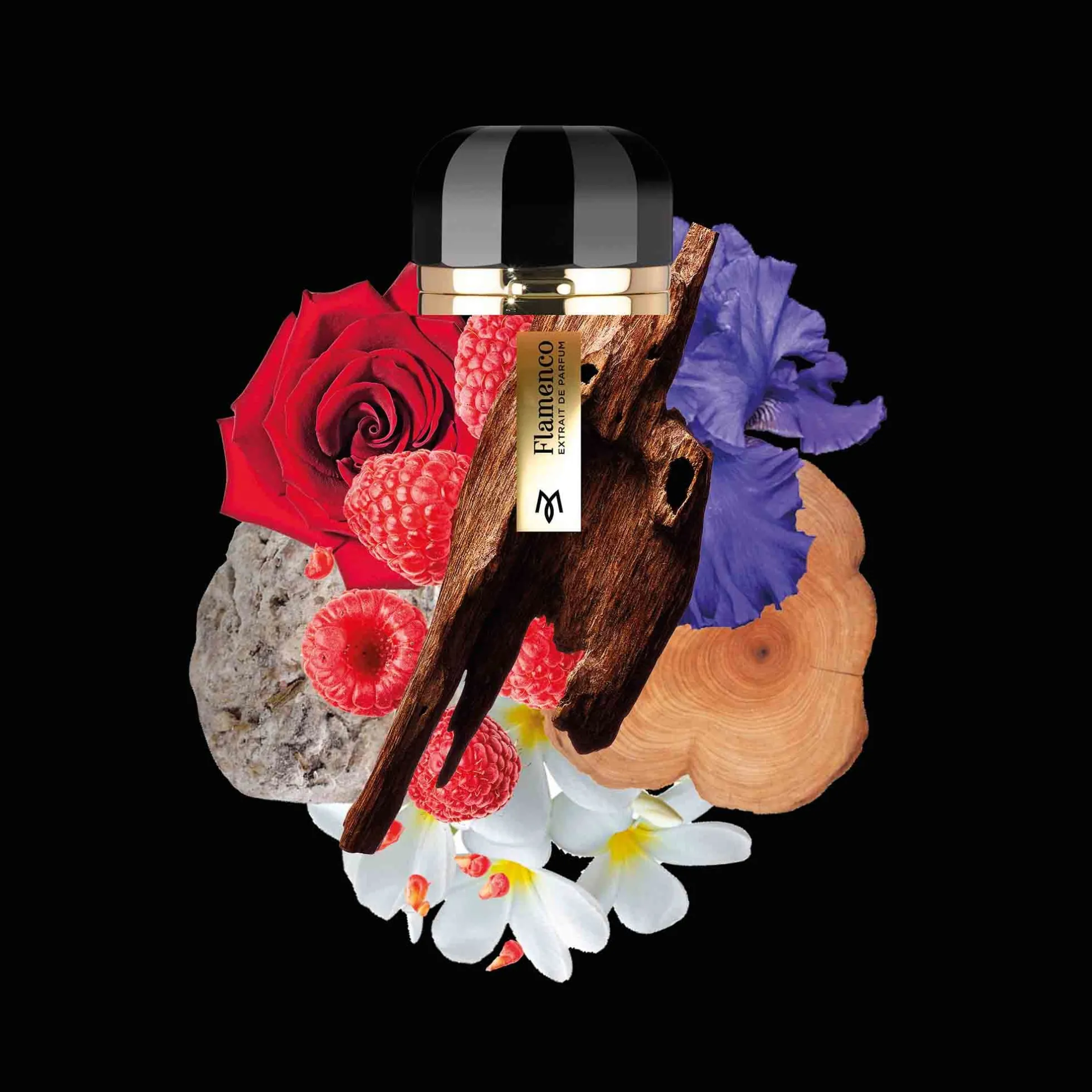 Flamenco Extrait de Parfum - Ramon Monegal