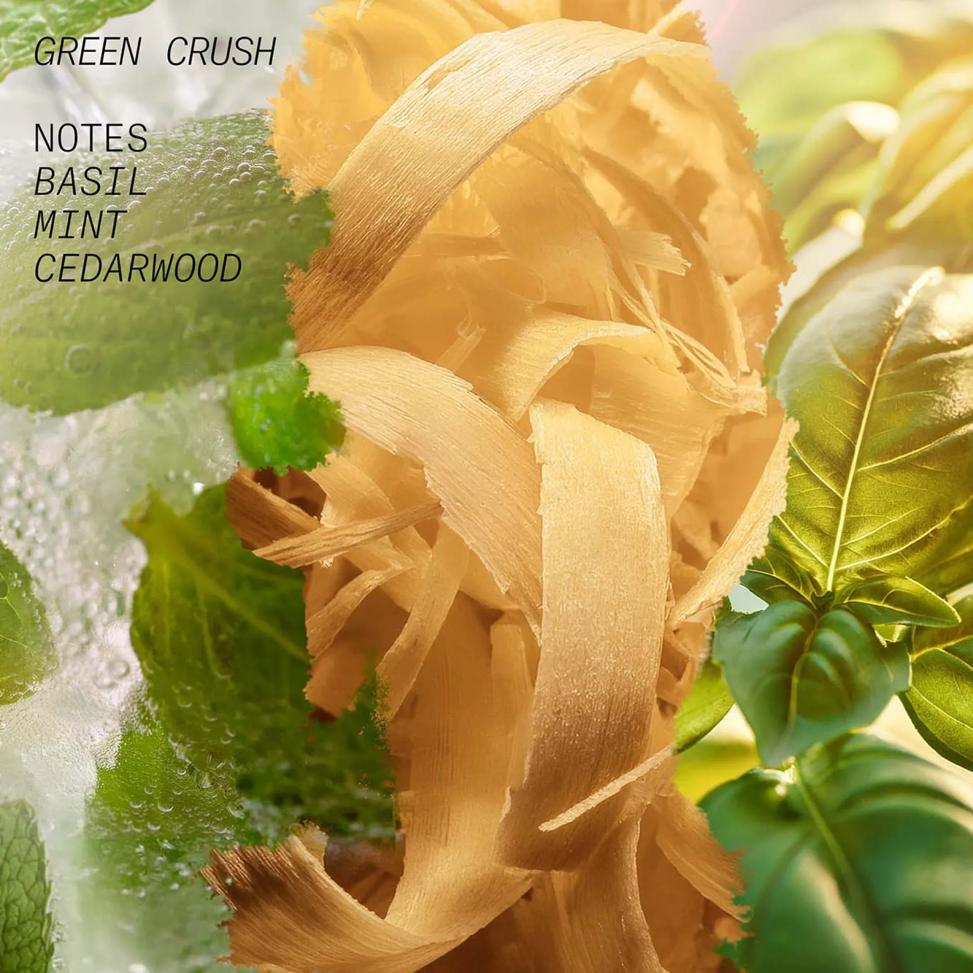 Green Crush Hair and Body Mist - L'Atelier Parfum