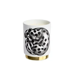 High Fidelity a Pois Candela Immaginazione - Fornasetti