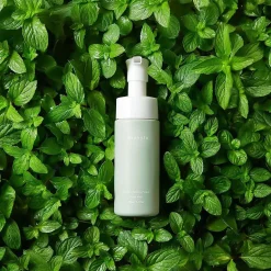 Intimate Foaming Wash - Waphyto