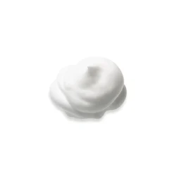 Intimate Foaming Wash - Waphyto