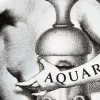 Piatto Zodiaco Aquario Tema e Variazioni N. 358 - Fornasetti