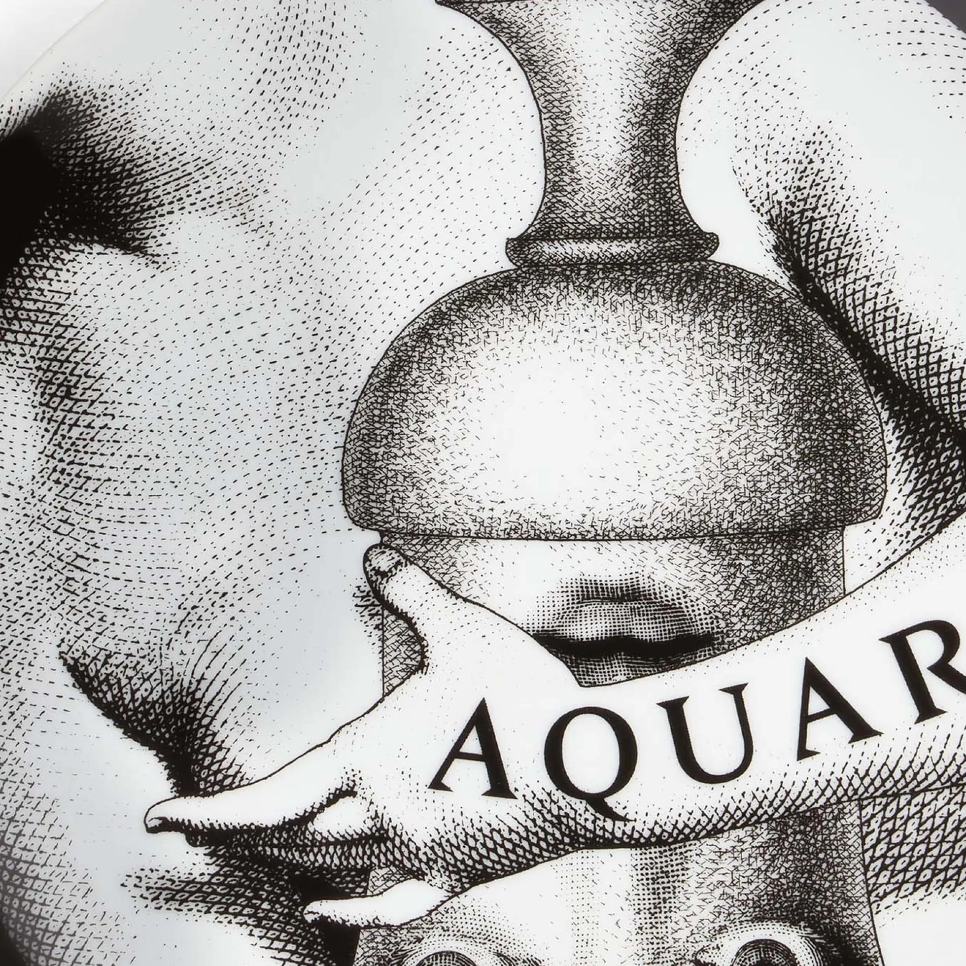 Piatto Zodiaco Aquario Tema e Variazioni N. 358 - Fornasetti