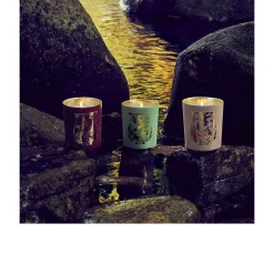 Sous un Ciel de Pétale Bougie - Trudon