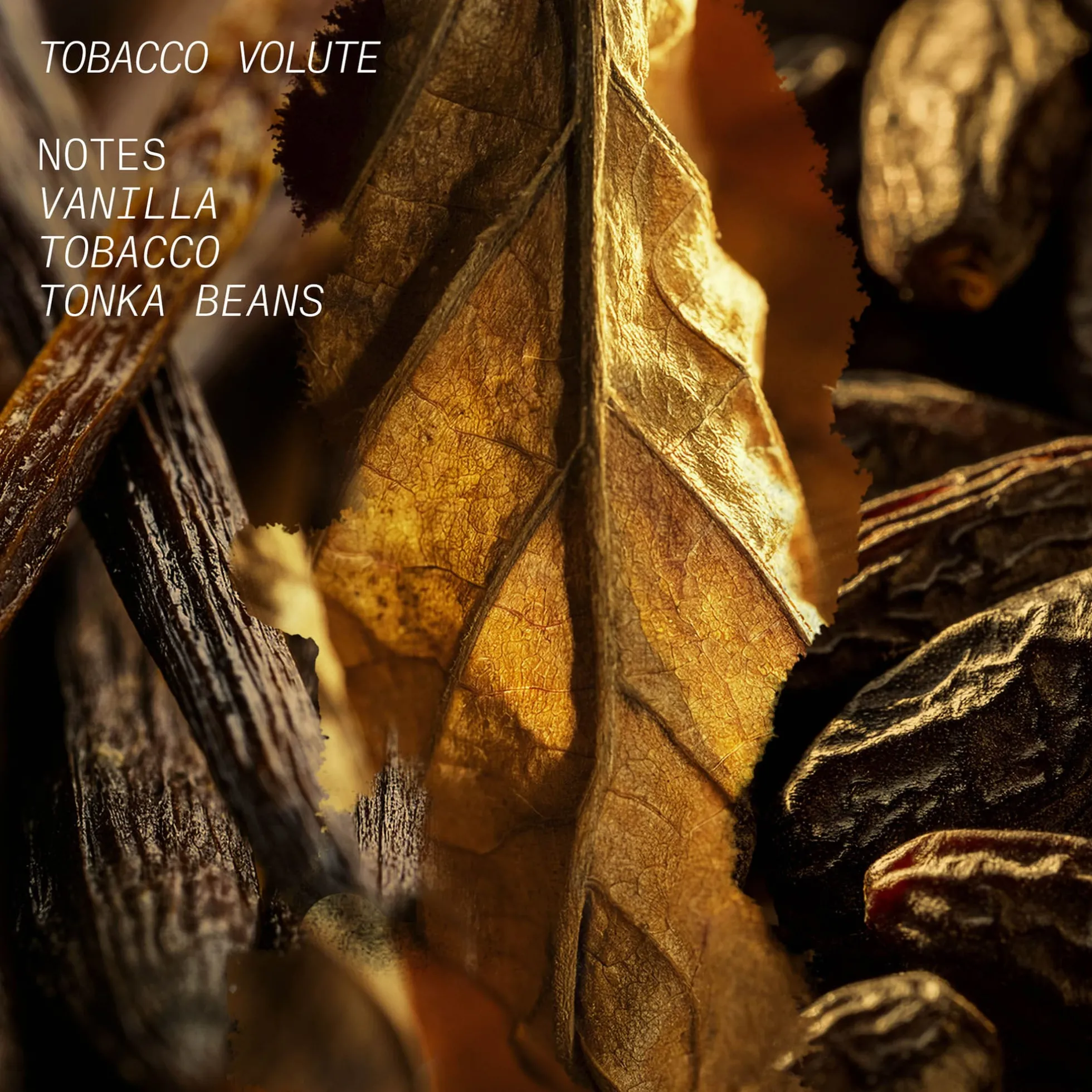 Tobacco Volute Hair and Body Mist- L'Atelier Parfum