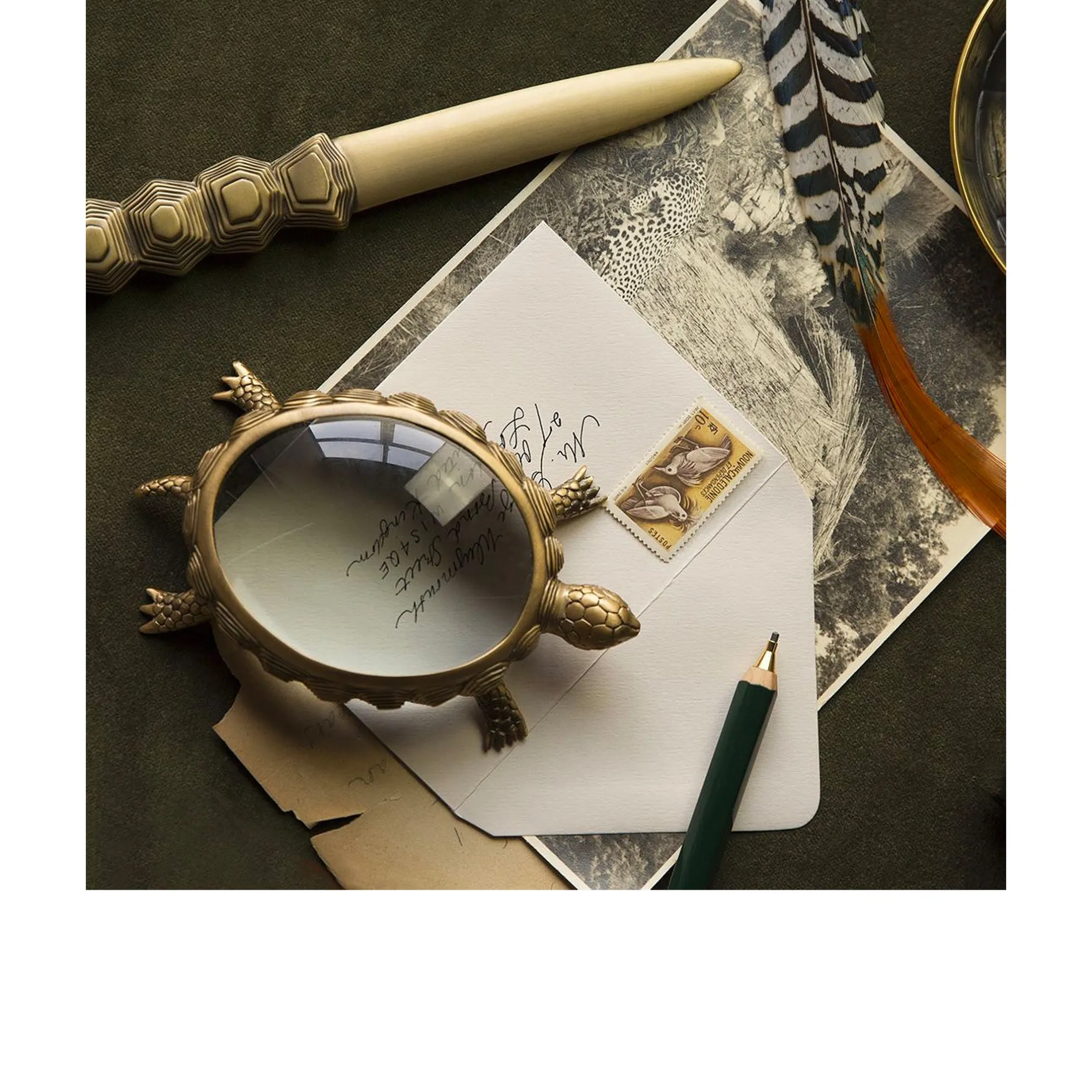 Turtle Letter Opener - L'Objet