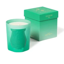 Under the Trees - Trudon